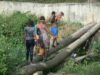 Cancino Adentro cruza sobre dos troncos mientras el puente prometido por Dio Astacio sigue sin llegar