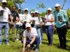 CTC realiza jornada de reforestación en los Humedales del Ozama