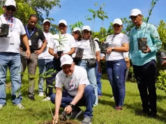 CTC realiza jornada de reforestación en los Humedales del Ozama